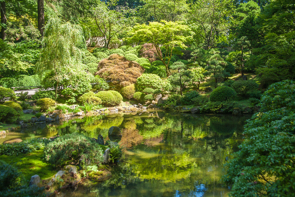 Jardin japonais, lanterne et mousse